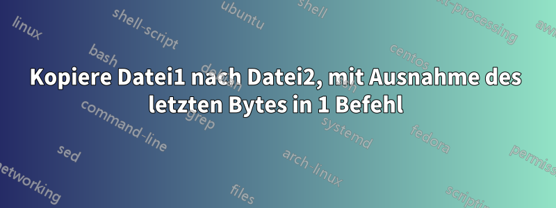 Kopiere Datei1 nach Datei2, mit Ausnahme des letzten Bytes in 1 Befehl