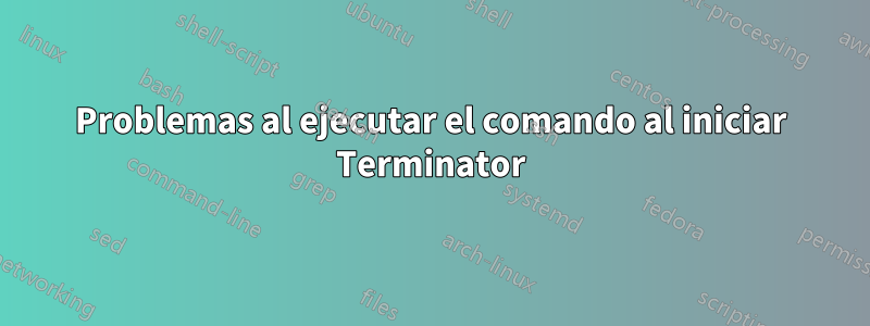 Problemas al ejecutar el comando al iniciar Terminator