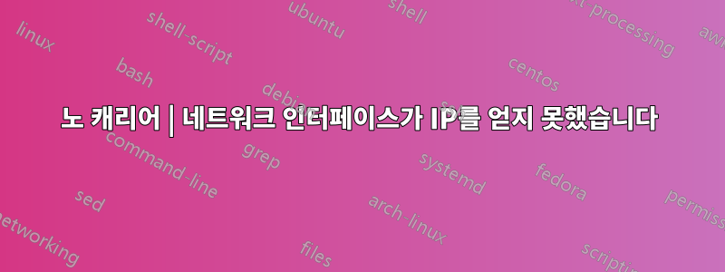 노 캐리어 | 네트워크 인터페이스가 IP를 얻지 못했습니다