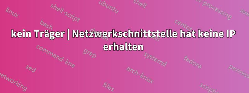 kein Träger | Netzwerkschnittstelle hat keine IP erhalten