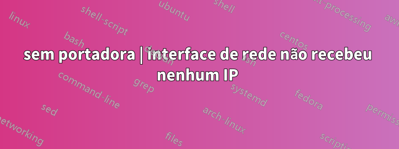 sem portadora | interface de rede não recebeu nenhum IP