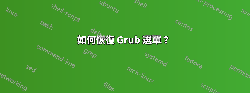 如何恢復 Grub 選單？