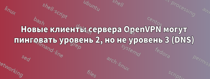 Новые клиенты сервера OpenVPN могут пинговать уровень 2, но не уровень 3 (DNS)