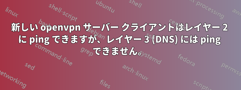 新しい openvpn サーバー クライアントはレイヤー 2 に ping できますが、レイヤー 3 (DNS) には ping できません。