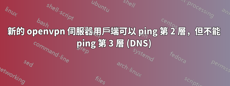 新的 openvpn 伺服器用戶端可以 ping 第 2 層，但不能 ping 第 3 層 (DNS)