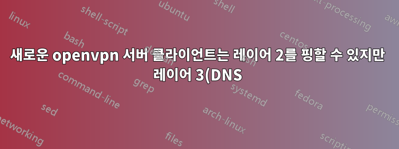 새로운 openvpn 서버 클라이언트는 레이어 2를 핑할 수 있지만 레이어 3(DNS)은 핑할 수 없습니다.