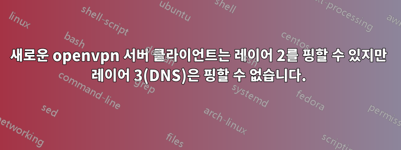 새로운 openvpn 서버 클라이언트는 레이어 2를 핑할 수 있지만 레이어 3(DNS)은 핑할 수 없습니다.