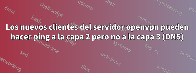 Los nuevos clientes del servidor openvpn pueden hacer ping a la capa 2 pero no a la capa 3 (DNS)