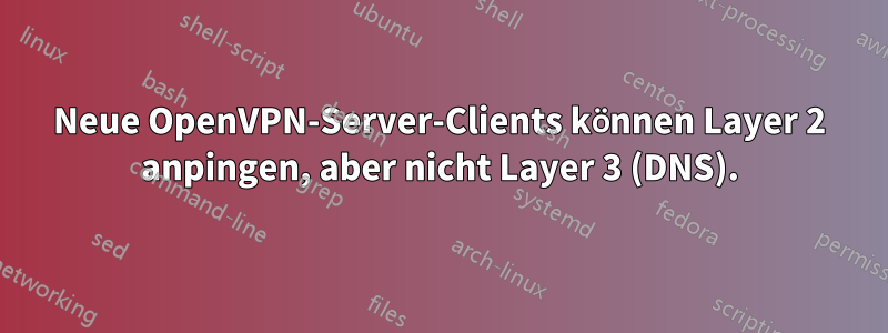 Neue OpenVPN-Server-Clients können Layer 2 anpingen, aber nicht Layer 3 (DNS).