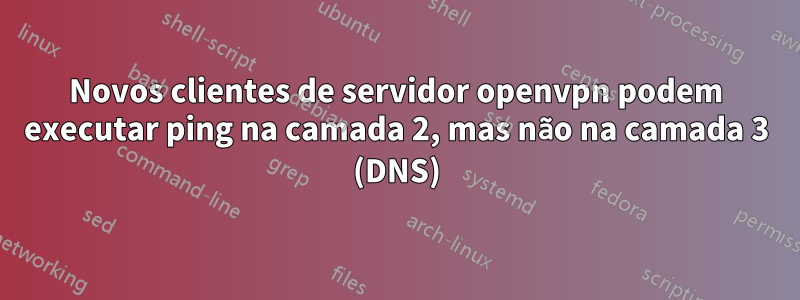 Novos clientes de servidor openvpn podem executar ping na camada 2, mas não na camada 3 (DNS)