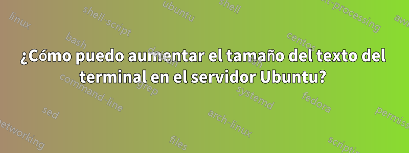 ¿Cómo puedo aumentar el tamaño del texto del terminal en el servidor Ubuntu?