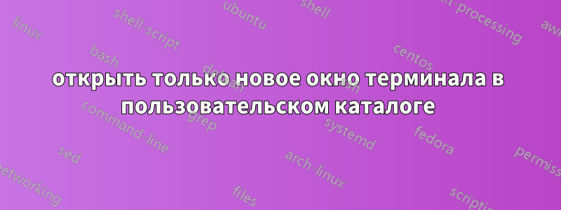 открыть только новое окно терминала в пользовательском каталоге