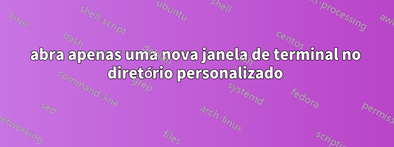abra apenas uma nova janela de terminal no diretório personalizado