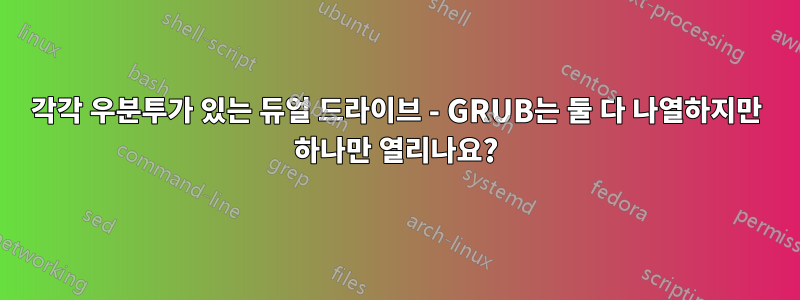 각각 우분투가 있는 듀얼 드라이브 - GRUB는 둘 다 나열하지만 하나만 열리나요?