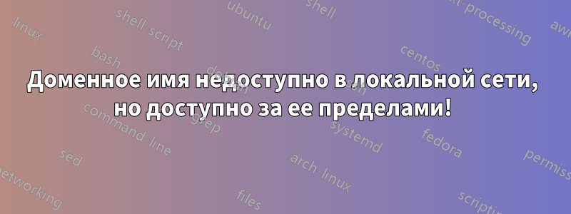Доменное имя недоступно в локальной сети, но доступно за ее пределами!