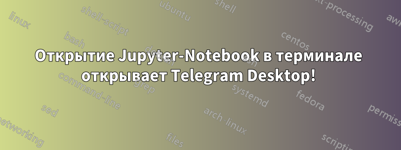 Открытие Jupyter-Notebook в терминале открывает Telegram Desktop!