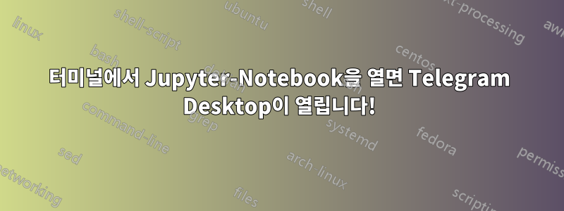 터미널에서 Jupyter-Notebook을 열면 Telegram Desktop이 열립니다!