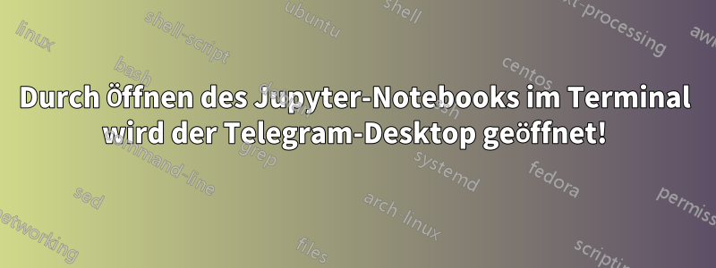Durch Öffnen des Jupyter-Notebooks im Terminal wird der Telegram-Desktop geöffnet!