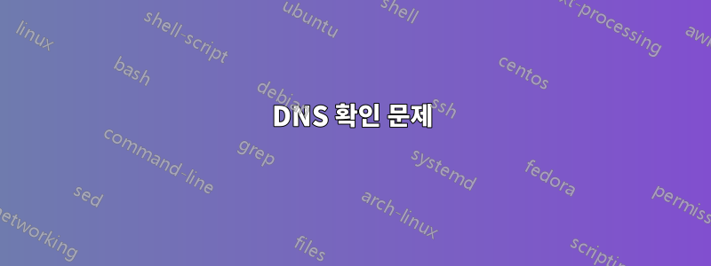 DNS 확인 문제