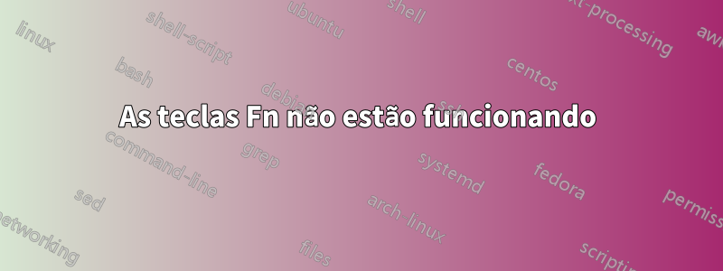 As teclas Fn não estão funcionando