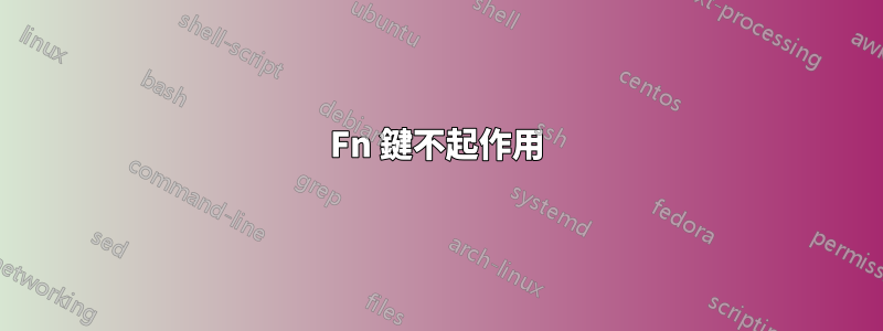 Fn 鍵不起作用