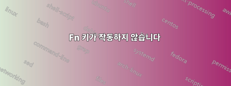 Fn 키가 작동하지 않습니다