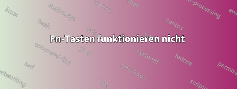 Fn-Tasten funktionieren nicht
