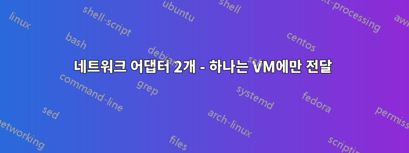 네트워크 어댑터 2개 - 하나는 VM에만 전달