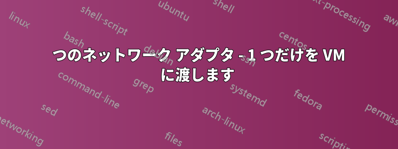 2 つのネットワーク アダプタ - 1 つだけを VM に渡します