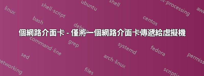 2 個網路介面卡 - 僅將一個網路介面卡傳遞給虛擬機