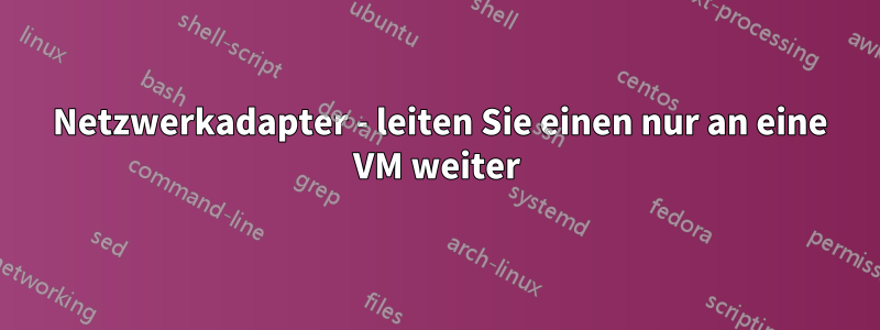 2 Netzwerkadapter - leiten Sie einen nur an eine VM weiter