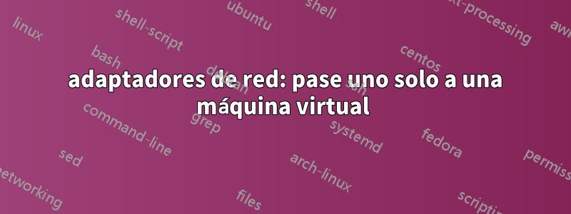 2 adaptadores de red: pase uno solo a una máquina virtual
