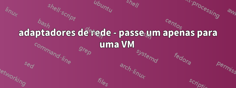 2 adaptadores de rede - passe um apenas para uma VM