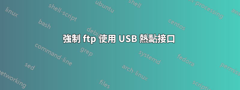 強制 ftp 使用 USB 熱點接口