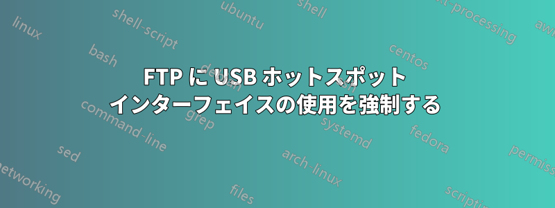 FTP に USB ホットスポット インターフェイスの使用を強制する