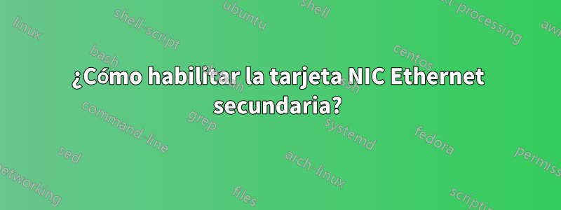 ¿Cómo habilitar la tarjeta NIC Ethernet secundaria?