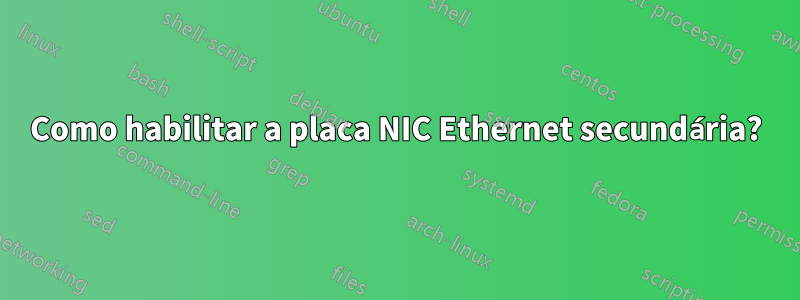 Como habilitar a placa NIC Ethernet secundária?