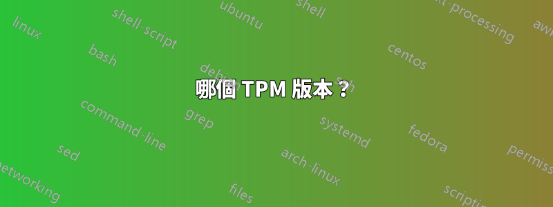 哪個 TPM 版本？
