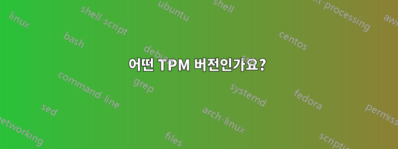 어떤 TPM 버전인가요?