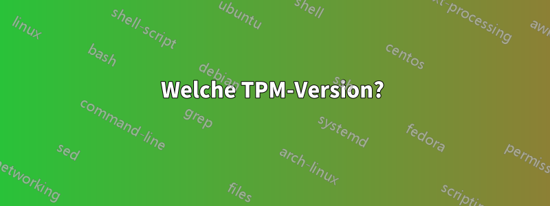 Welche TPM-Version?
