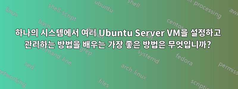 하나의 시스템에서 여러 Ubuntu Server VM을 설정하고 관리하는 방법을 배우는 가장 좋은 방법은 무엇입니까?