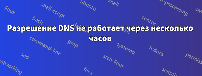 Разрешение DNS не работает через несколько часов