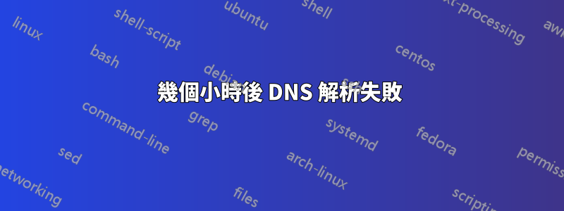 幾個小時後 DNS 解析失敗