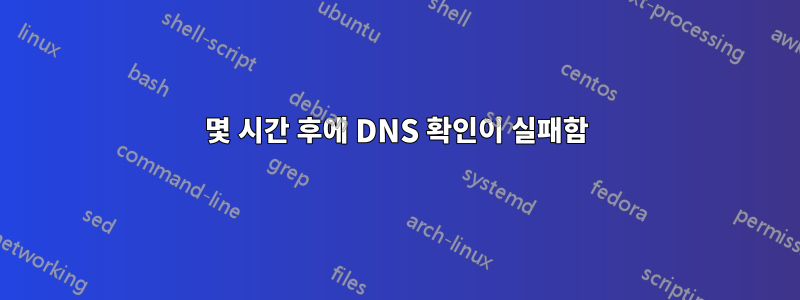 몇 시간 후에 DNS 확인이 실패함