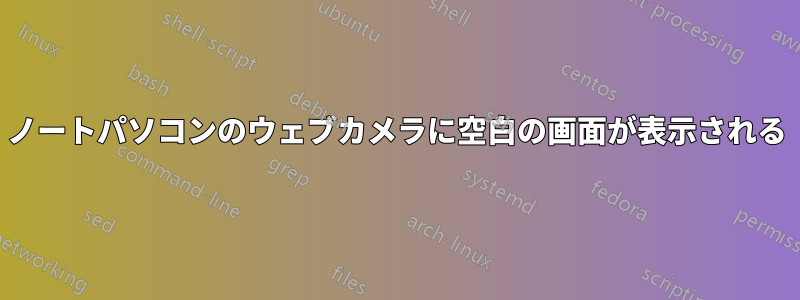 ノートパソコンのウェブカメラに空白の画面が表示される