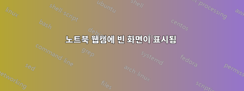 노트북 웹캠에 빈 화면이 표시됨