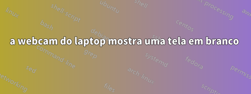 a webcam do laptop mostra uma tela em branco