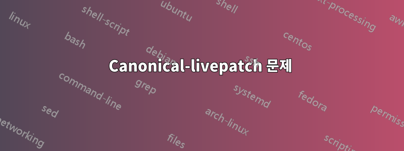 Canonical-livepatch 문제