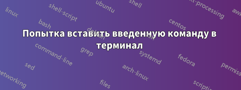Попытка вставить введенную команду в терминал