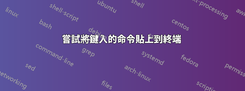嘗試將鍵入的命令貼上到終端